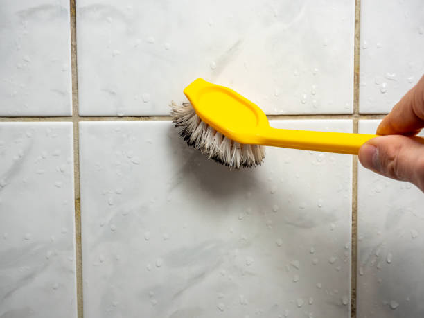 Best Mold Testing  in Logan, UT