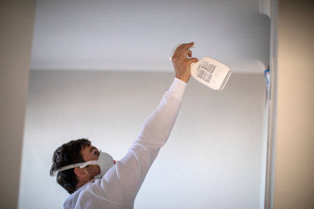 Best Office Mold Removal Services  in Logan, UT