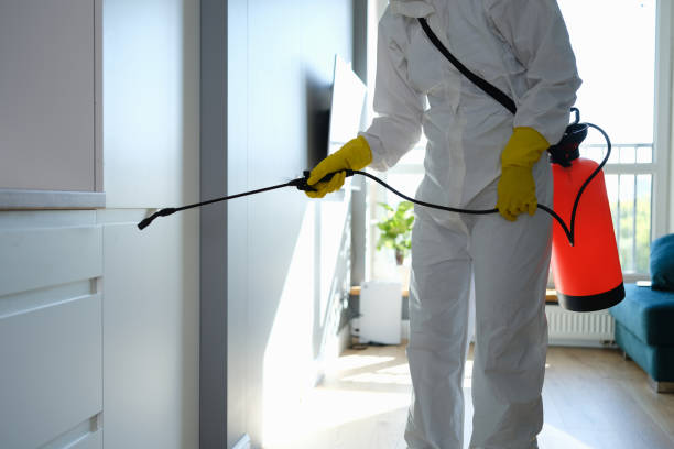 Best Professional Mold Removal  in Logan, UT