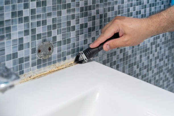 Best Emergency Mold Removal  in Logan, UT