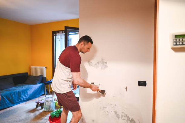 Best Attic Mold Removal  in Logan, UT